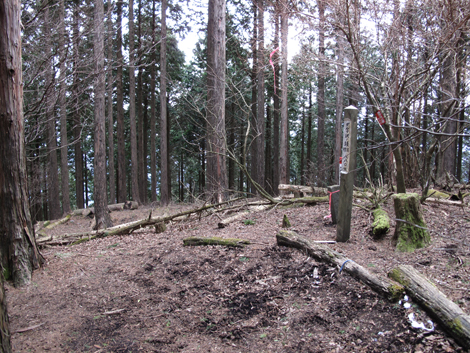 20160121hike (266)